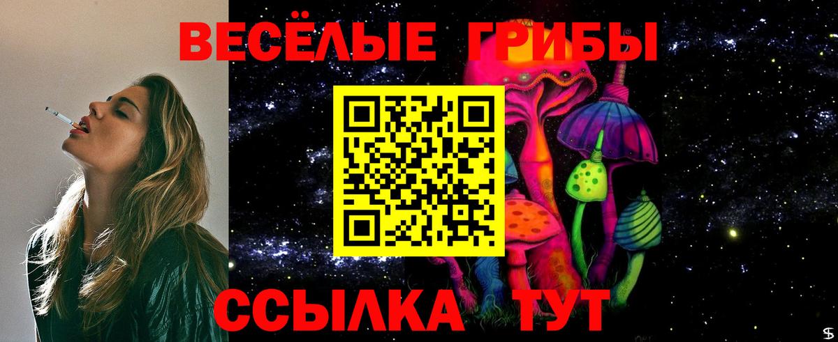 Псилоцибиновые грибы прущие грибы Белорецк